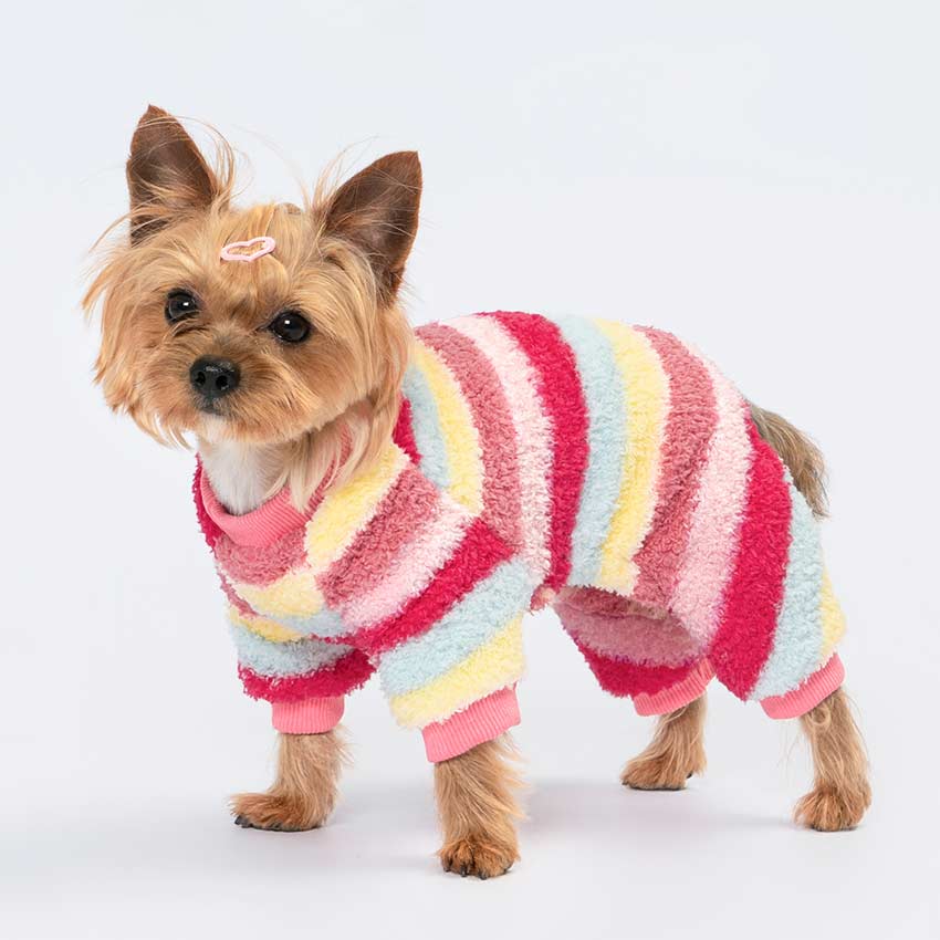 Dog Striped Clothes