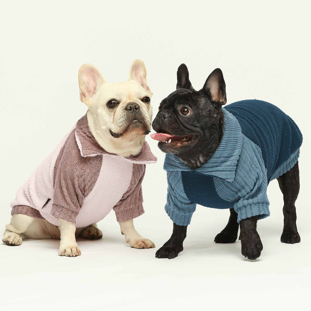 Lapel Collar Fleece French Bulldog Sweater - Fitwarm