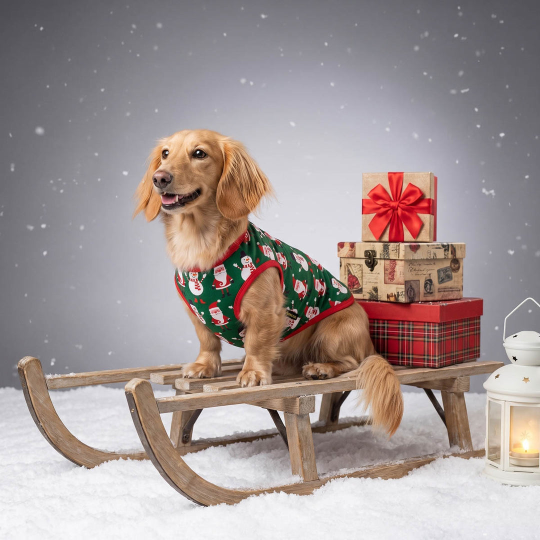 Dachshund wearing a green Santa-patterned dog tshirt sits on a wooden sled next to stacked Christmas presents and a lit lantern against a snowy gray backdrop