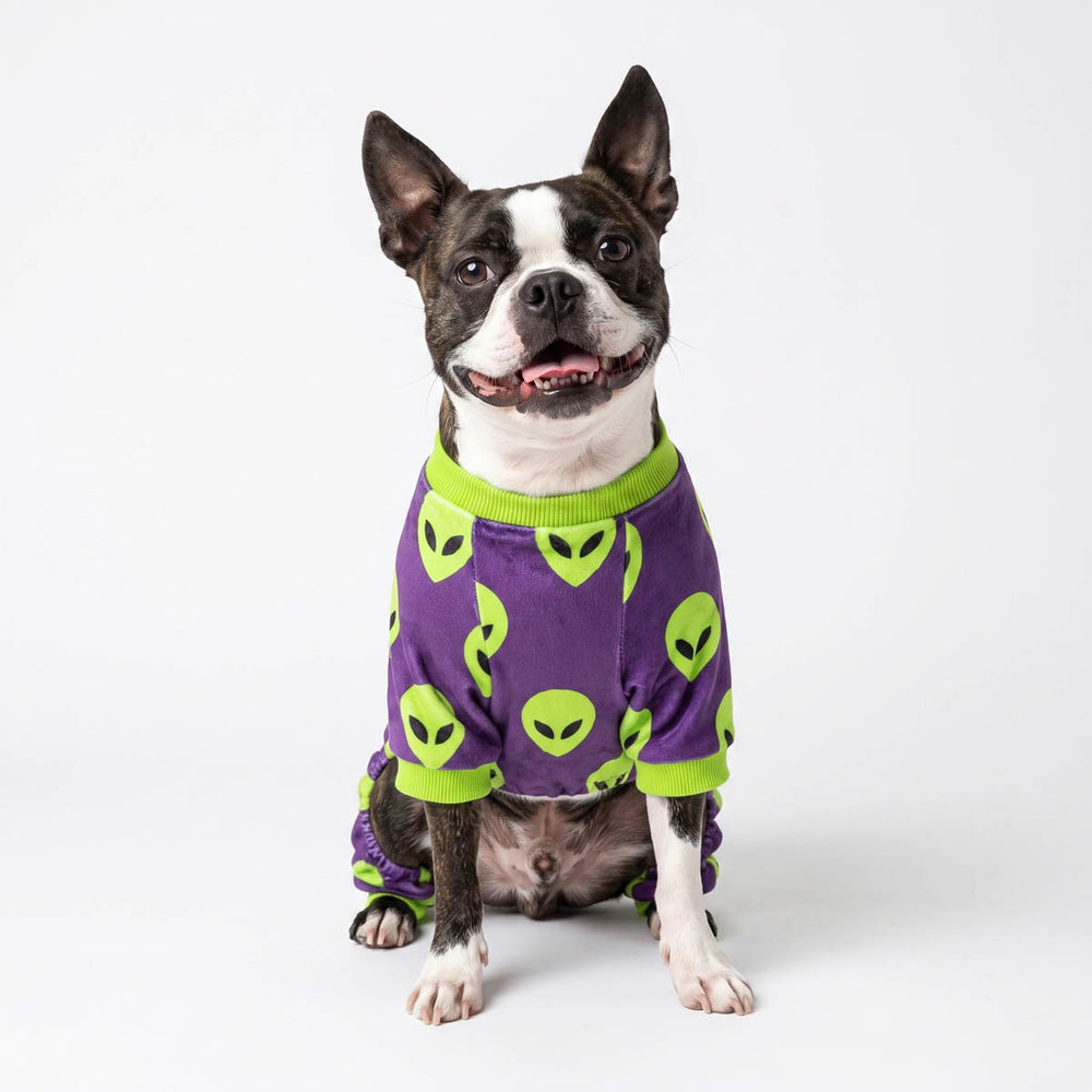 Boston Terrier dog wearing a purple dog fleece pajamas with green alien prints and green trim, sitting against a plain white studio background