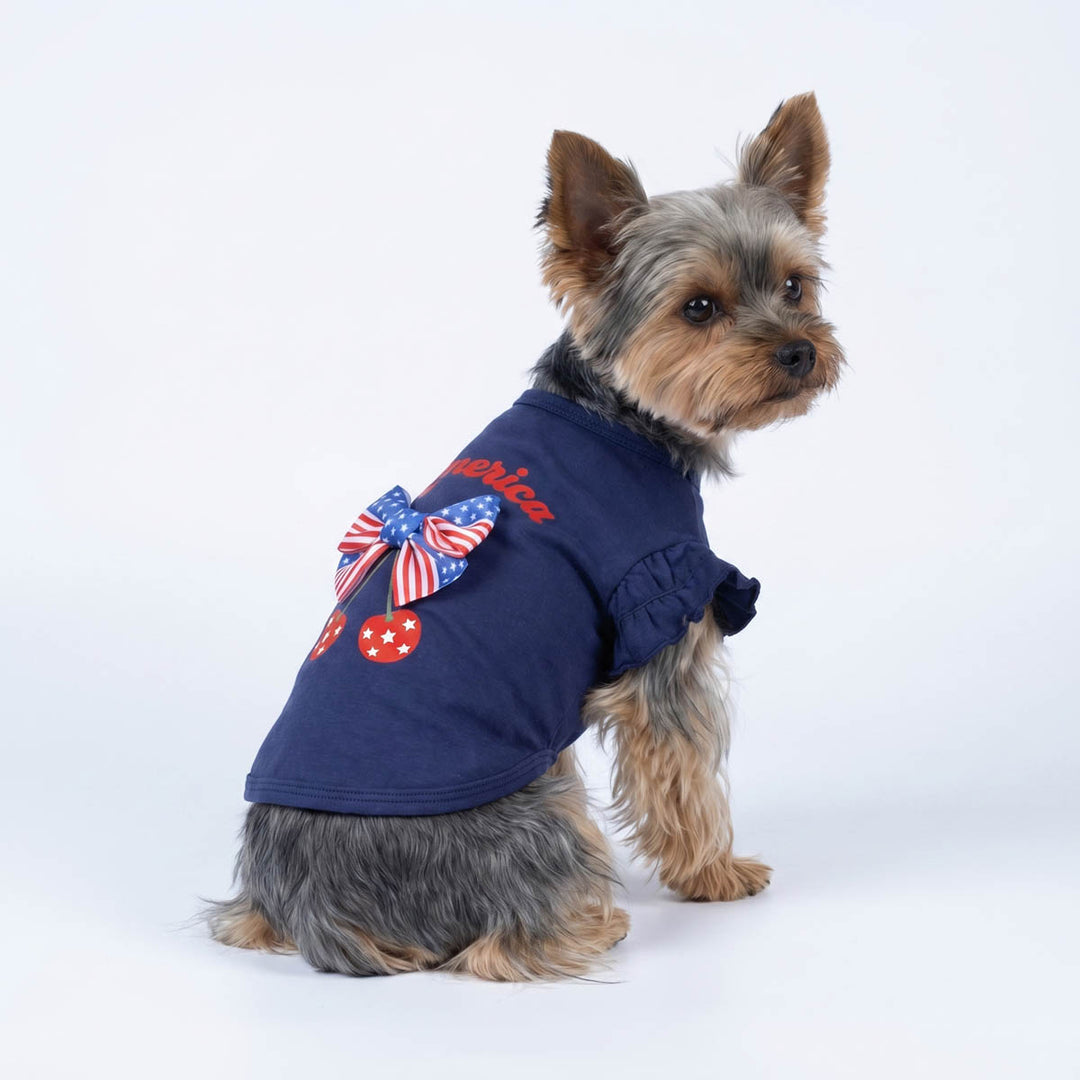 Small dog wearing a blue shirt for dogs with a red, white, and blue design on a white background