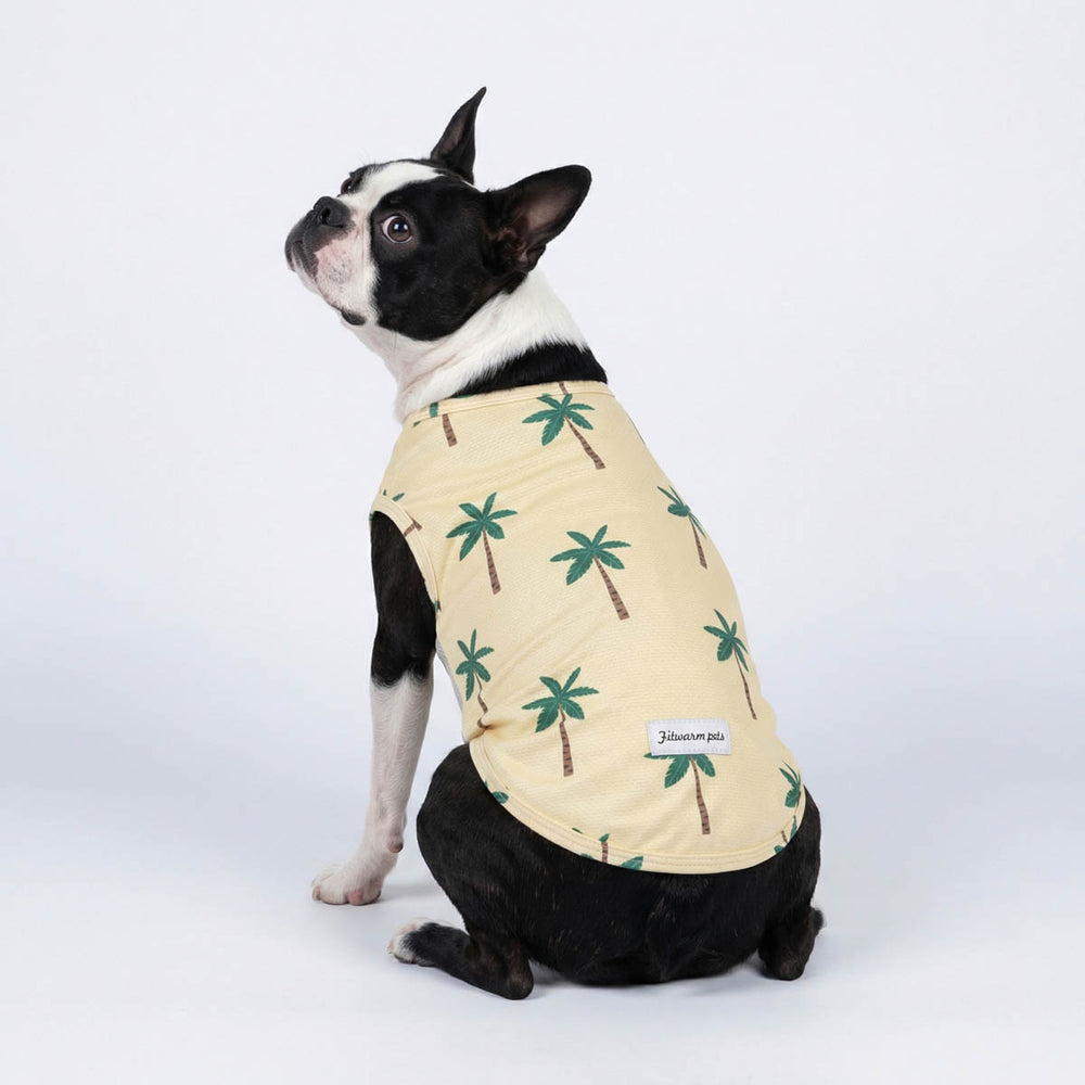 Back view of Boston Terrier wearing a UPF 50+ dog UV shirt