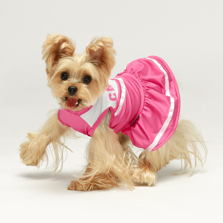 Cheerleader Dog Costume dog dress