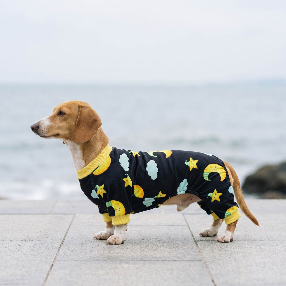 Dachshund wearing a soft moon and star prints dog onesie in a seaside background