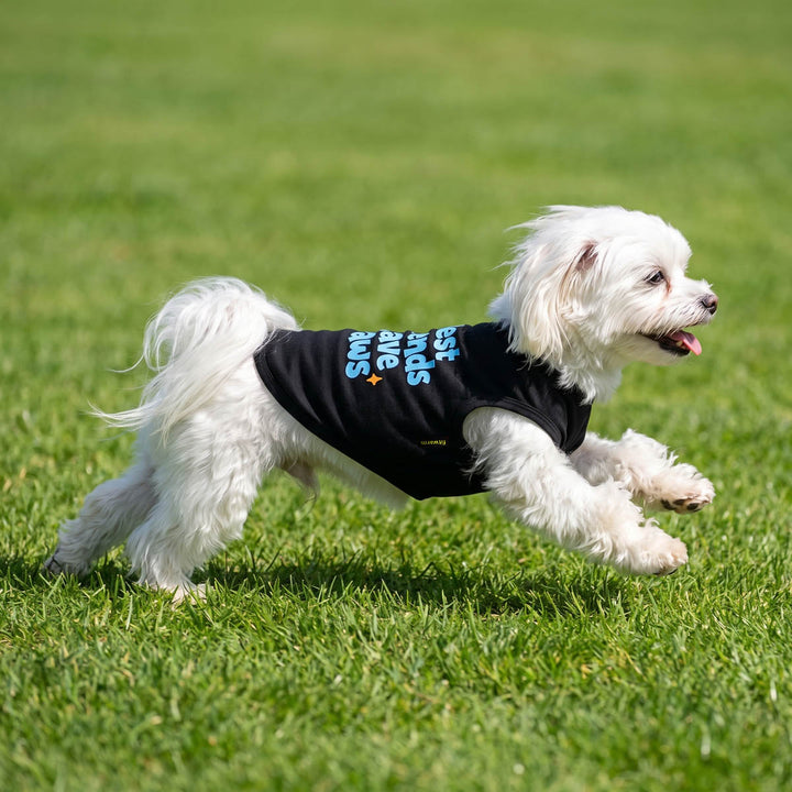 Small dog running on the grass with a dog t-shirt with 'Best friends have paws' lettering