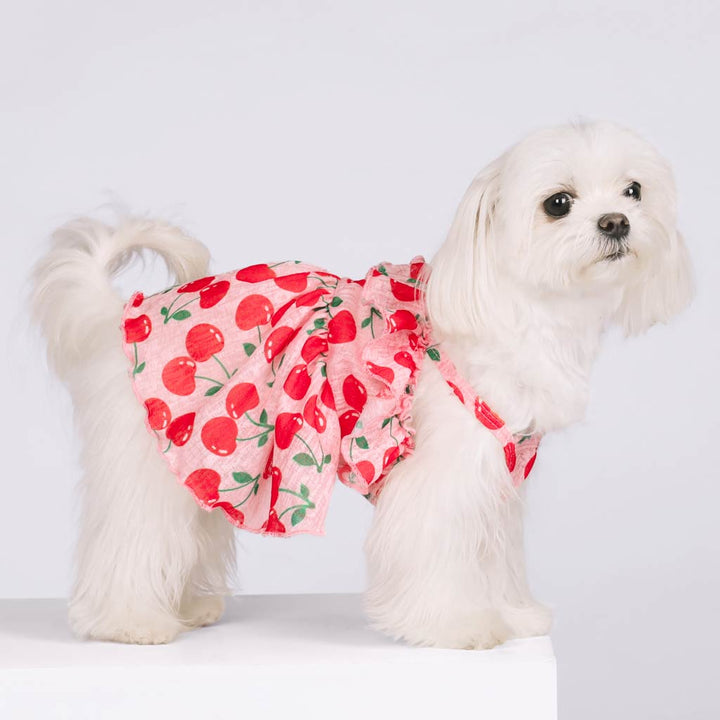 Cherry Dog Dress for Maltese - Fitwarm Dog Clothes