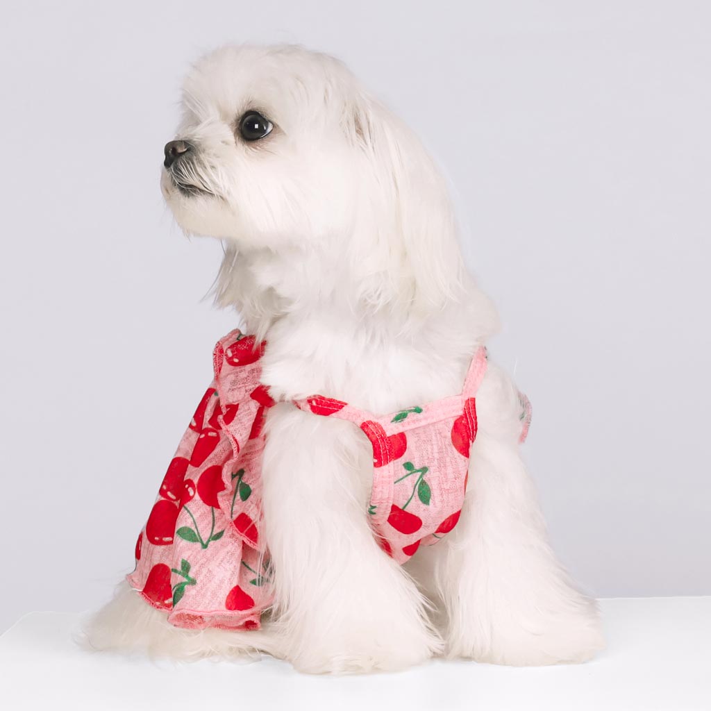 Maltese in a Cherry Print Dress - Fitwarm Dog Clothes