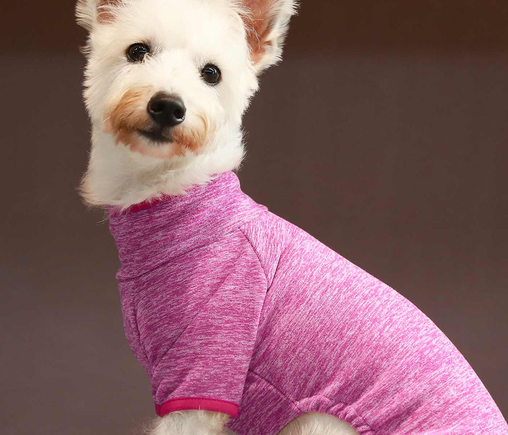 Fuzzy Velvet Dog Pajamas - Fitwarm