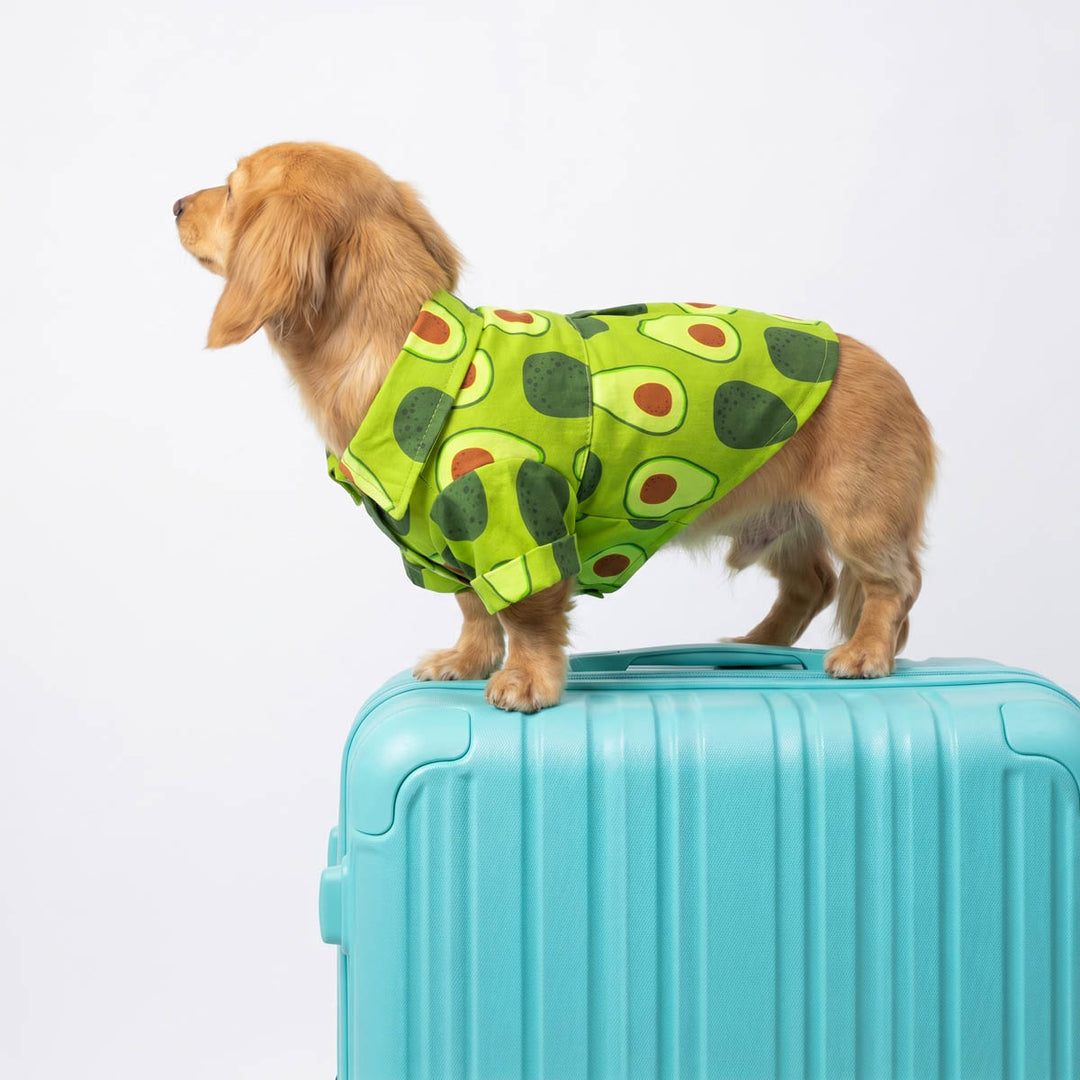 Avocado print dog Hawaiian shirt with short sleeves and button front