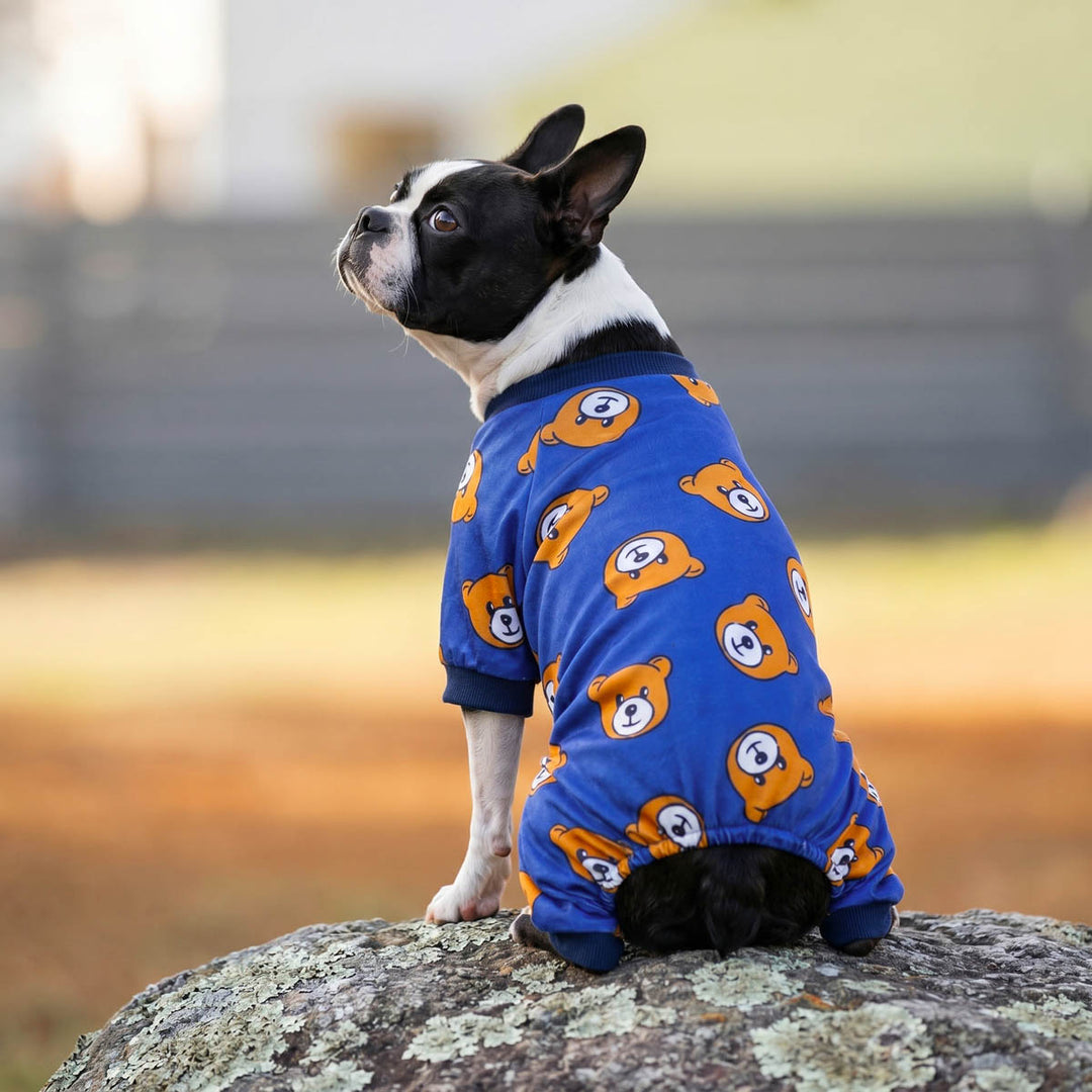 Dog wearing a blue dog pajamas with orange bear patterns on a rock
