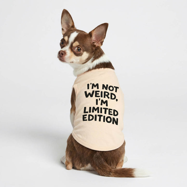 Back view of a Chihuahua in a beige dog tank top with funny lettering
