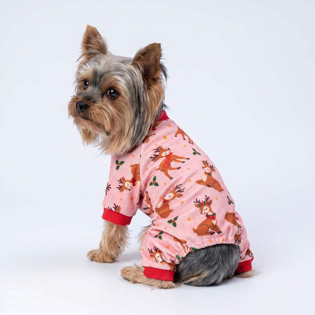 Yorkshire Terrier dog wearing pink pajamas for dogs with a red cuff and a print of brown reindeer, set against a plain white studio background