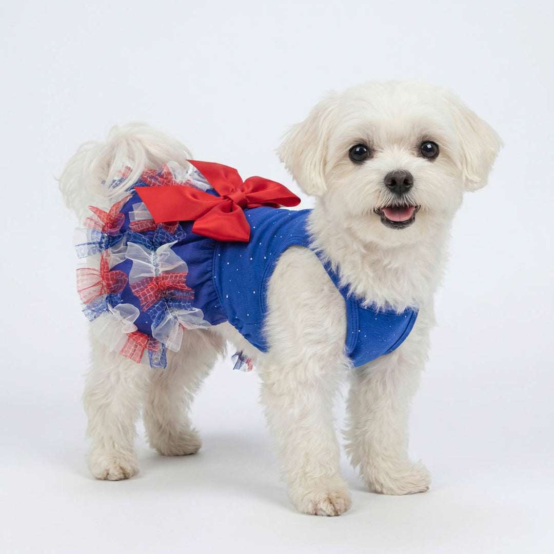 Small white dog wearing a dog patriotic with red and white accents on a white background