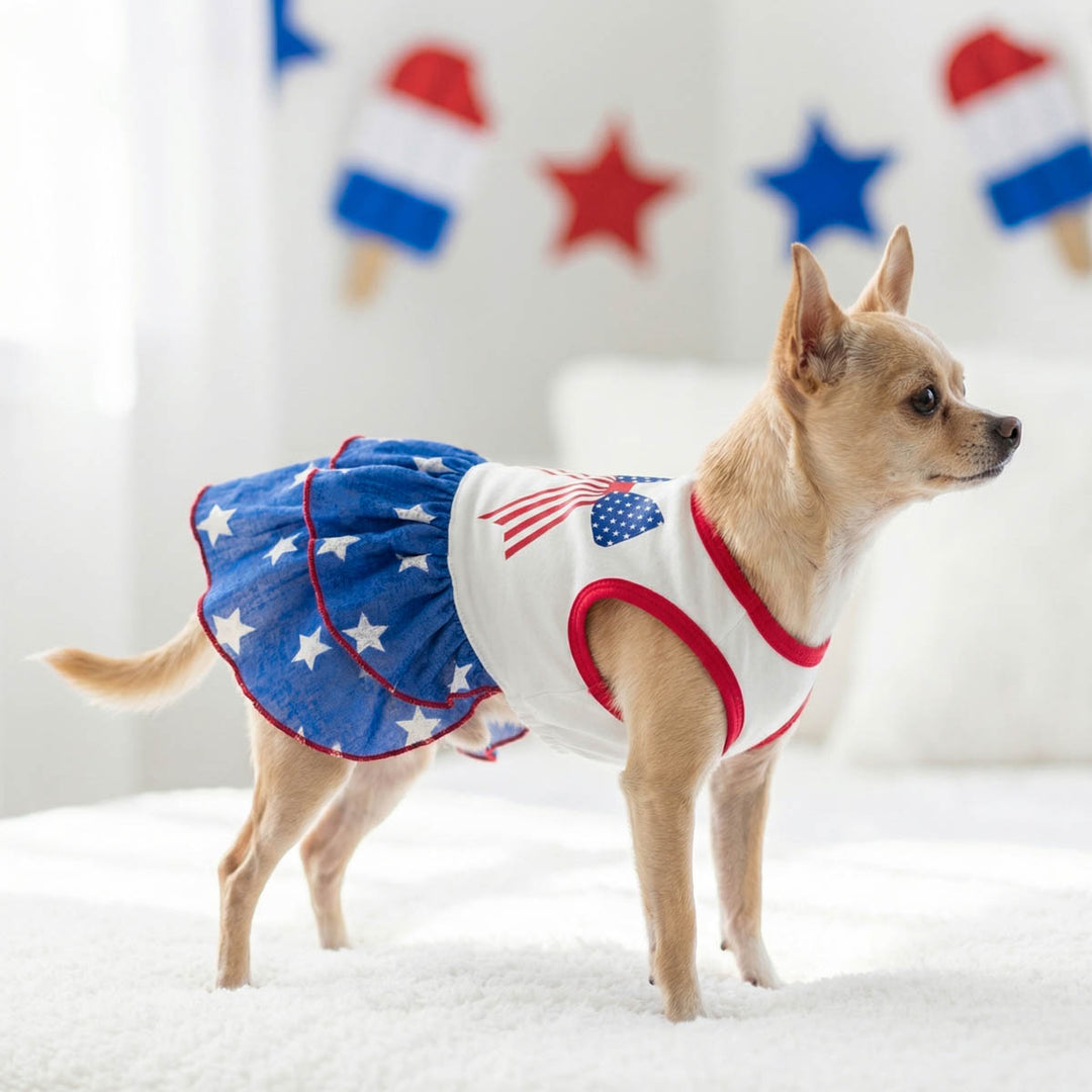 Chihuahua wearing a red, white, and blue dog patriotic dress with American flag design on a white background