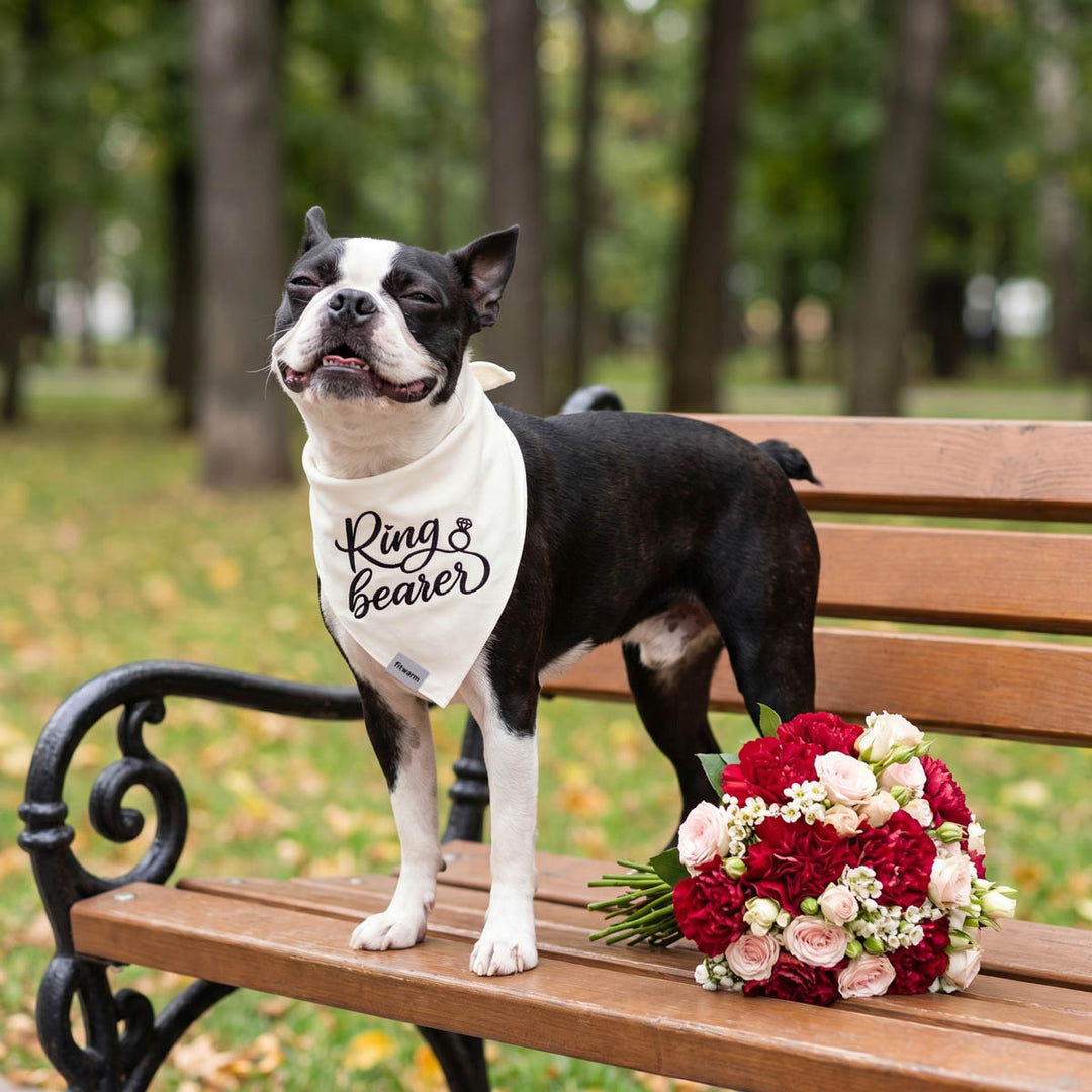 Dog wearing a 'Ring bearer' dog bandana on a bench with flowers in a park setting