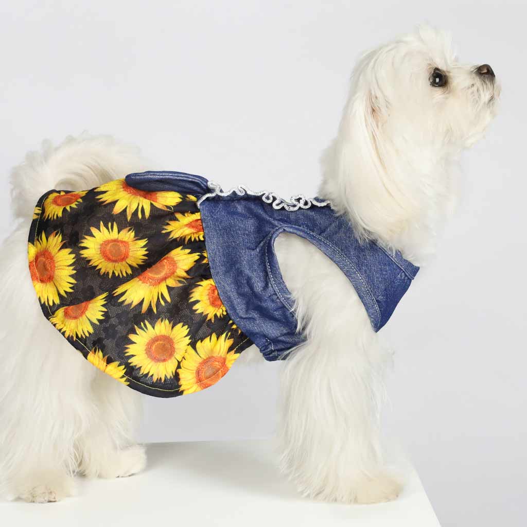 Chic Maltese in a Sunflower Print and Denim Dress - Fitwarm Dog Clothes