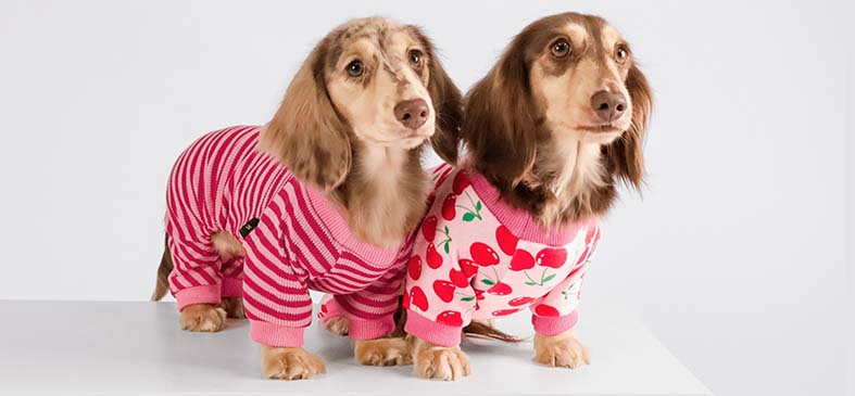 Dachshunds in Cute Fleece Dog Pajamas - Fitwarm Dog Clothes