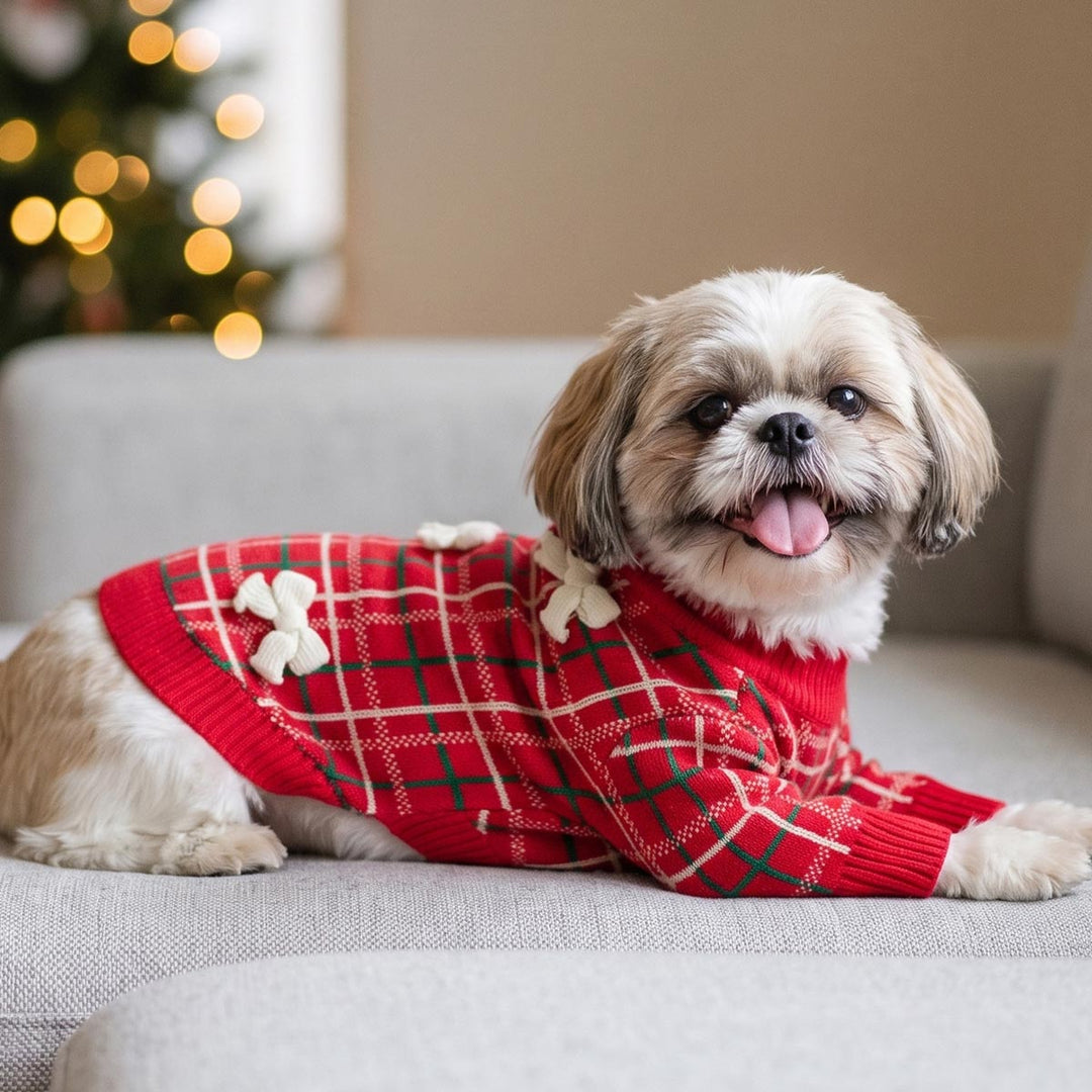 Small fluffy dog wearing a red holiday dog plaid sweater with white accents, lying on a light gray sofa with a blurred Christmas tree in the background