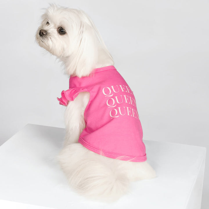 Ruffle Dog Shirt with Queen Lettering for Maltese - Fitwarm Dog Clothes