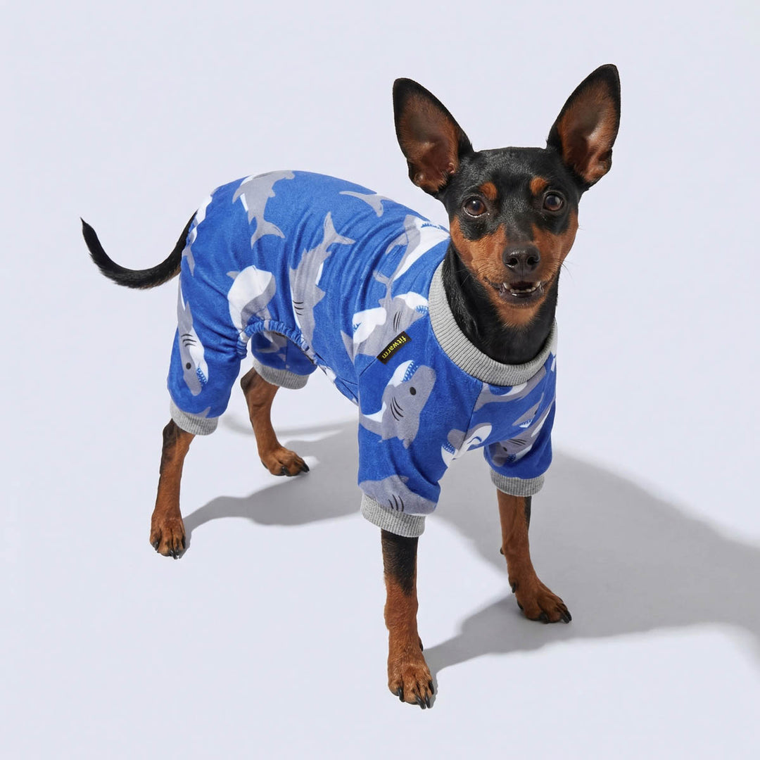 Dog wearing a blue shark-patterned dog pajama set on a light gray background