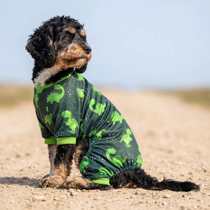 Green dinosaur themed dog pajamas worn by a small dog sitting on the road