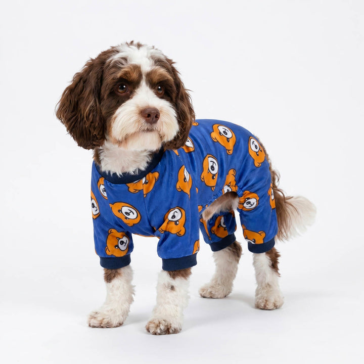 Small dog wearing a bear pajamas for dogs in a white background 