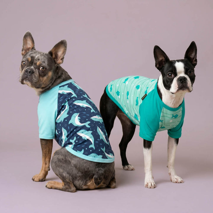 Two dogs wearing blue dog shirts with dolphin patterns on a plain background