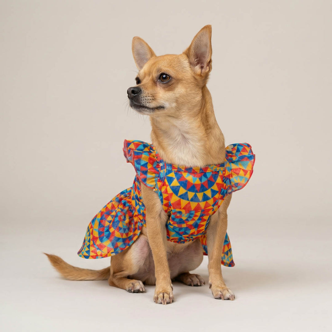 Chihuahua wearing a colorful kaleidoscope-patterned dress for dogs on a plain background