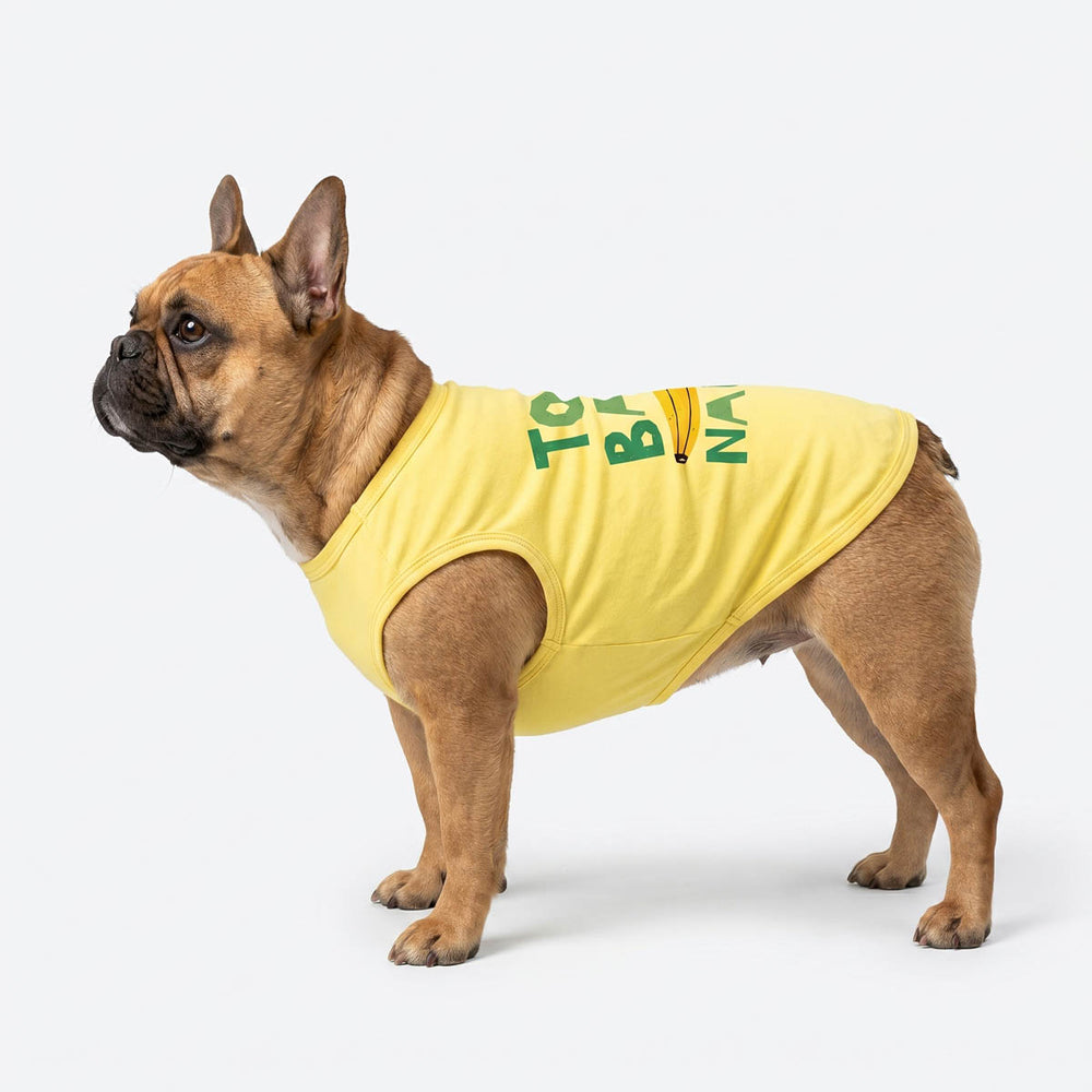 Franch Bulldog wearing a yellow banana thhemed dog tank top on a white background