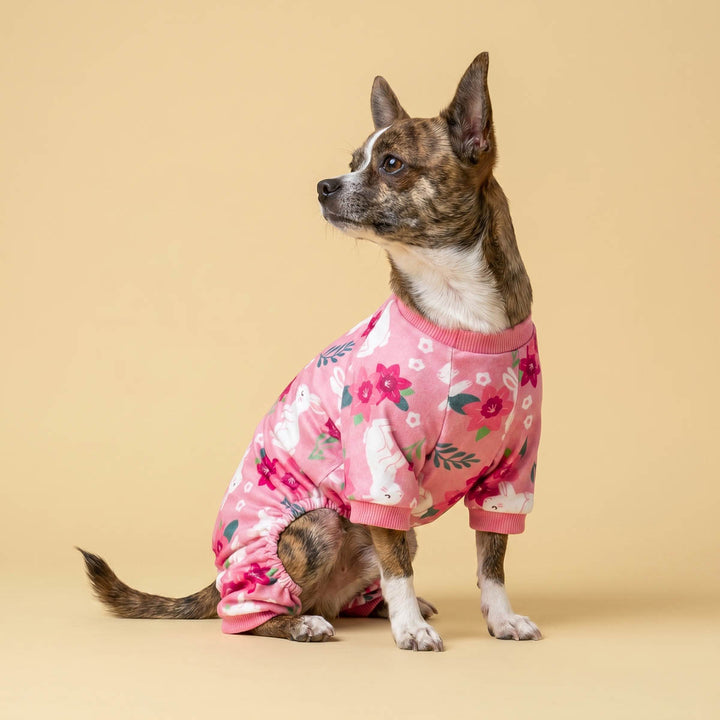 Small dog wearing a florol rabbit prints dog onesie and sitting on the beige background