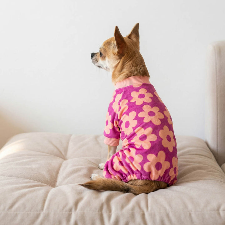 Chihuahua sitting on a pad with pink floral dog pjs