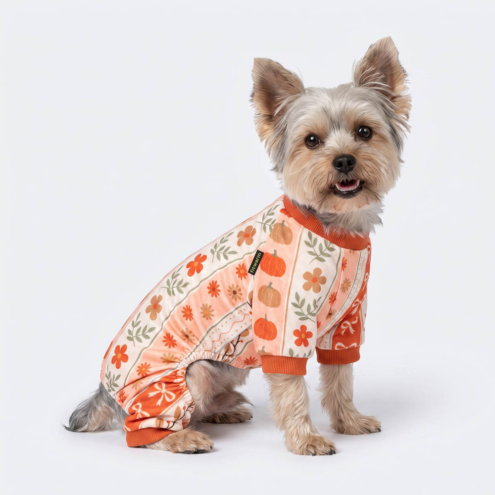 Yorkie wearing an orange dog pjs with pumpkin, leaf, and flower prints