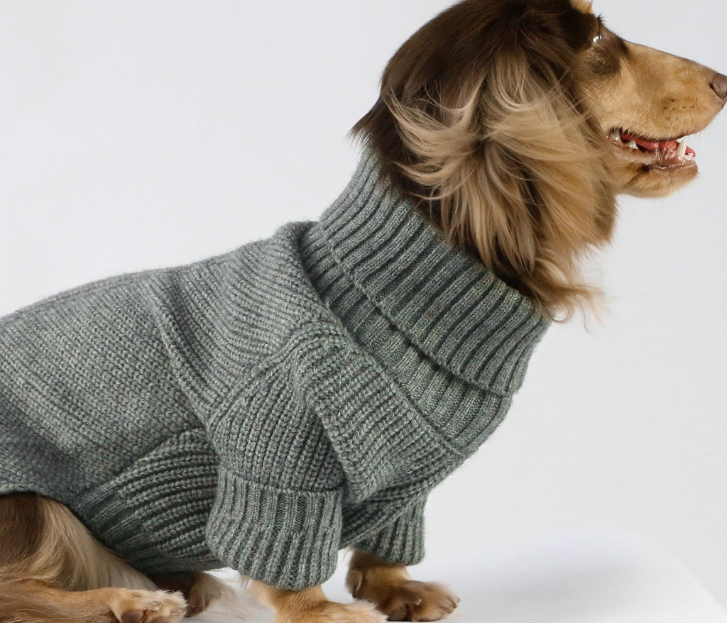Turtleneck Knitted Dachshund Sweater - Fitwarm