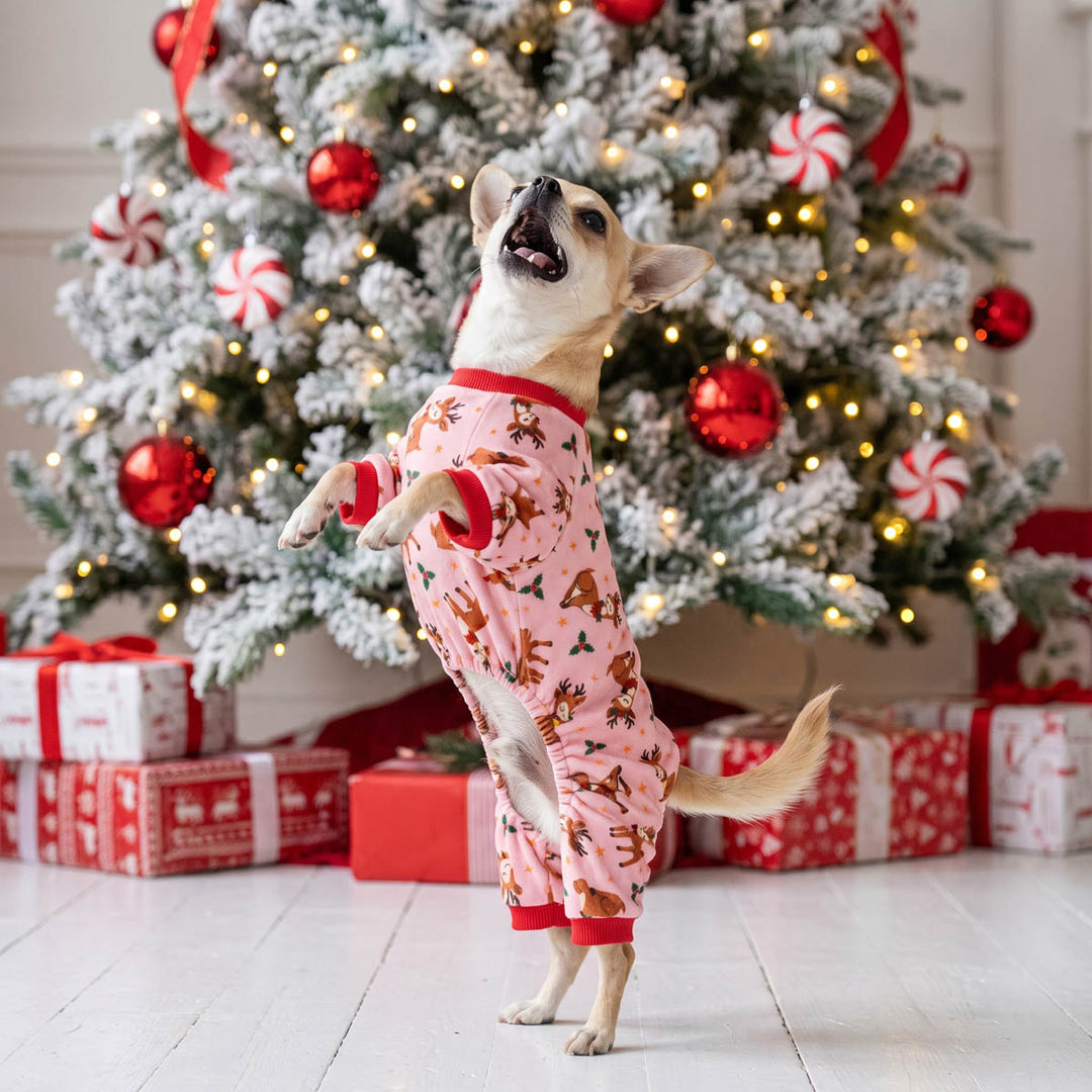 Small dog stands on its hind legs wearing pink Christmas-themed dog onesie with a brown reindeer print, posed in front of a decorated Christmas tree and wrapped gift boxes