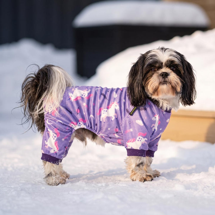 Small black and white dog standing in the snow with a purple full-body dog onesie with a white and pink unicorn print