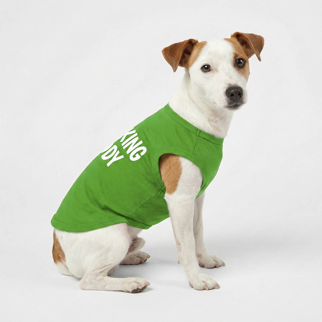 Dog sitting with a green St. Patrick's Day dog shirt with white lettering