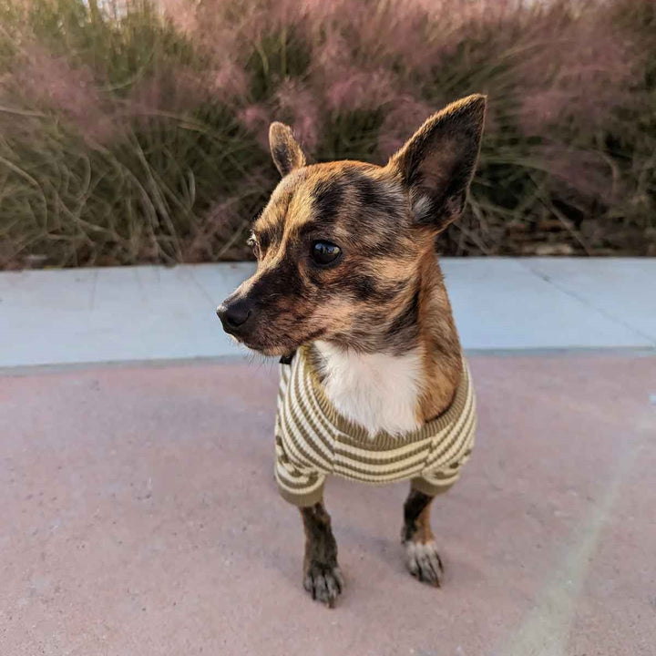 Dog in a Stylish Waffle Striped Dog Pajamas - Fitwarm Dog Clothes