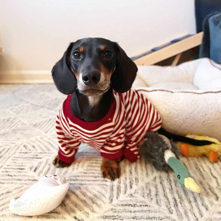 Dachshund Pajamas - Dog Pajamas - Dog Christmas Outfit - Fitwarm