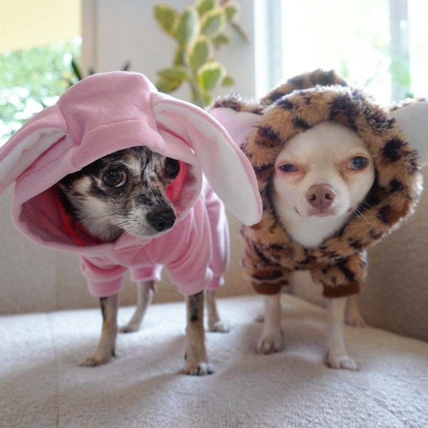 Pink Dog Bunny Costume | Funny Halloween Pet Outfit – Fitwarm