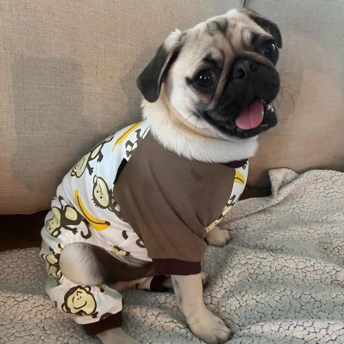 Pug Pajamas - Pug Clothes - Pug Clothes - Fitwarm