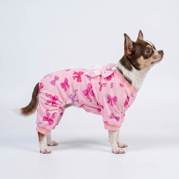 Chihuahua standing in a white background with pink dog pjs with bow details