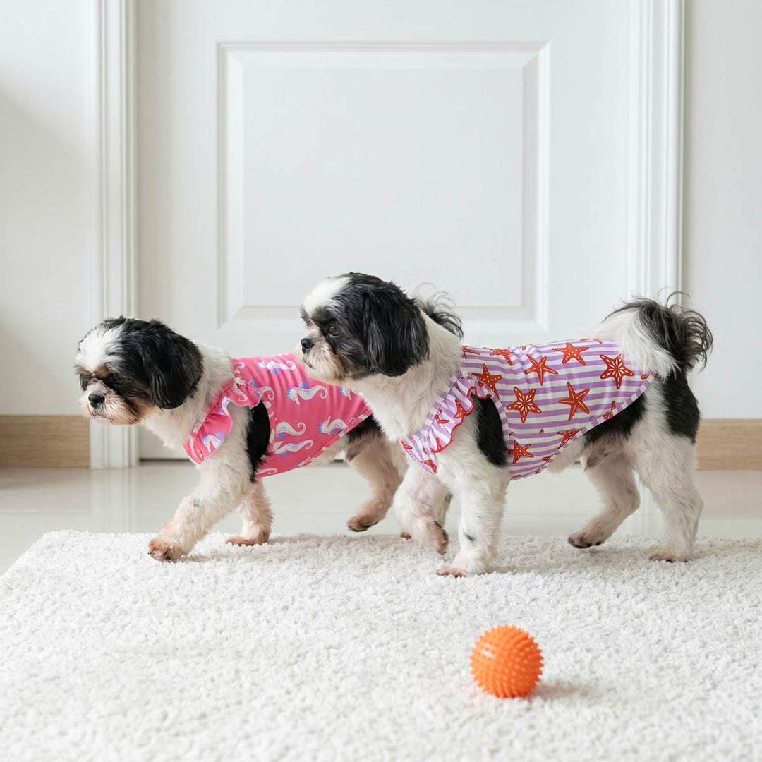 Small dog walking indoors with a starfish and seahorse pirnts dog tank tops