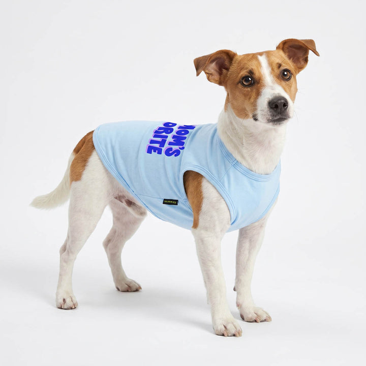 Dog wearing a light blue shirt for dogs with text on a white background