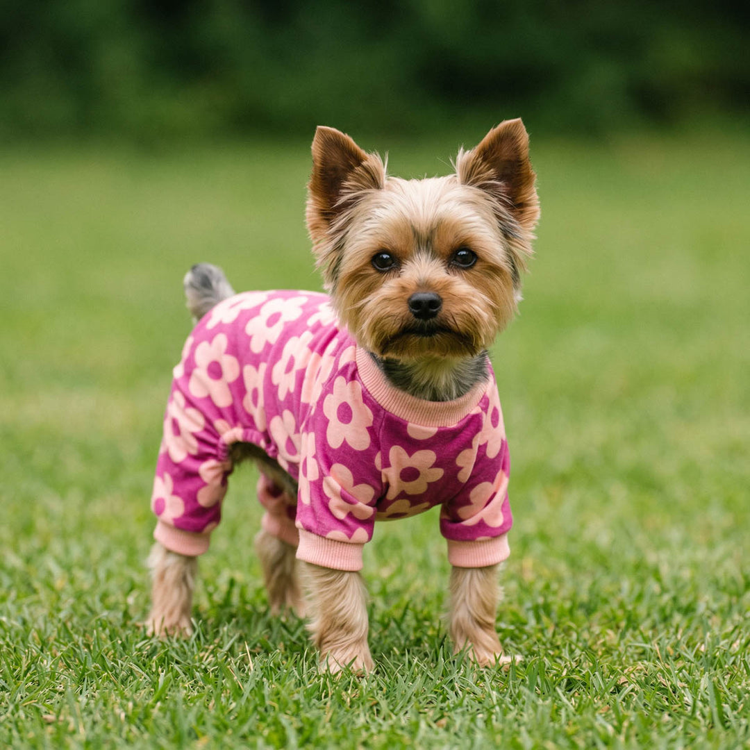 Yorkie standing on the grass with cozy pajamas for dogs 