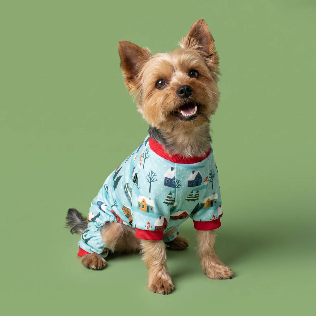 Yorkie wearing a light blue holiday-themed dog onesie with red trim and a winter village print, sitting against a solid green studio background