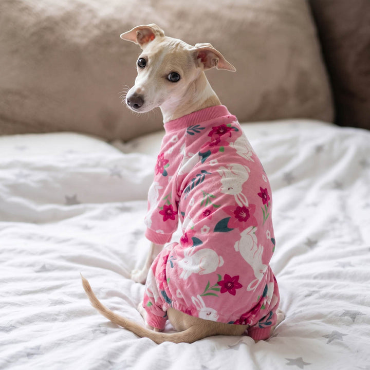 Small dog sitting on a white bed wearing pink bunny pajamas for dogs with a floral and bunny print