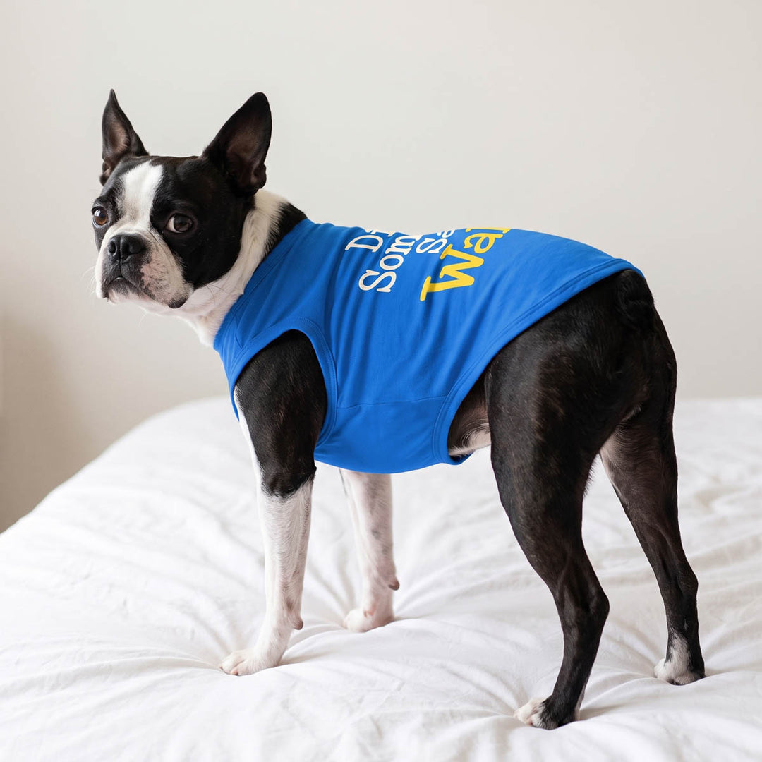 Boston Terrier dog standing on a white bed and wearing a bright blue shirt for dogs with yellow and white text that reads 'Did Something Walk?'.