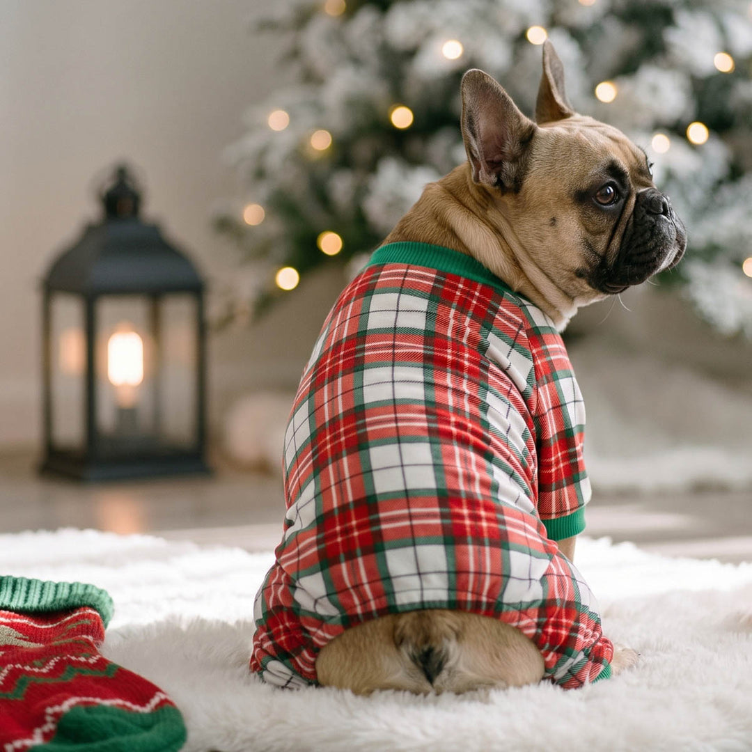 French Bulldog wearing a red and green plaid dog Christmas onesie on a blanket