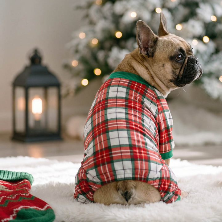 French Bulldog wearing a red and green plaid dog Christmas onesie on a blanket