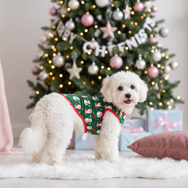 Small white dog wearing a green Christmas-themed shirt for dogs with Santa Claus patterns and red trim, standing on a white faux fur rug